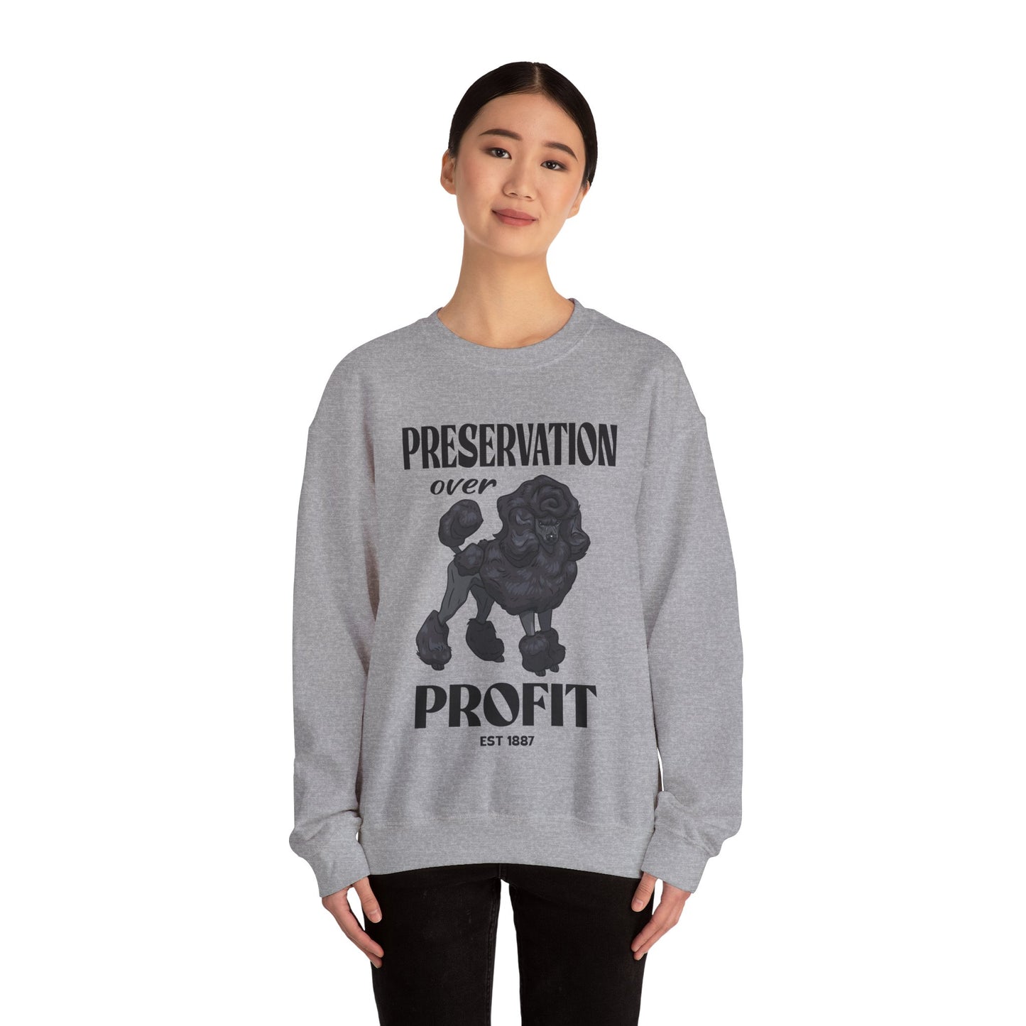Standard Poodle