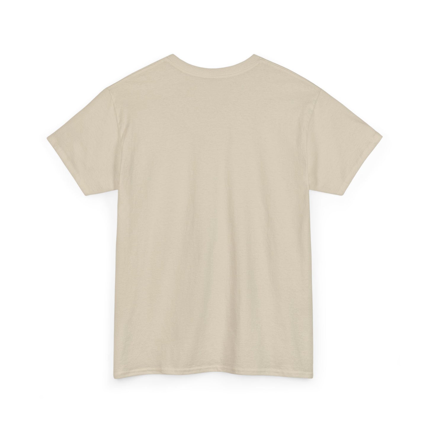 ASOR T Shirt