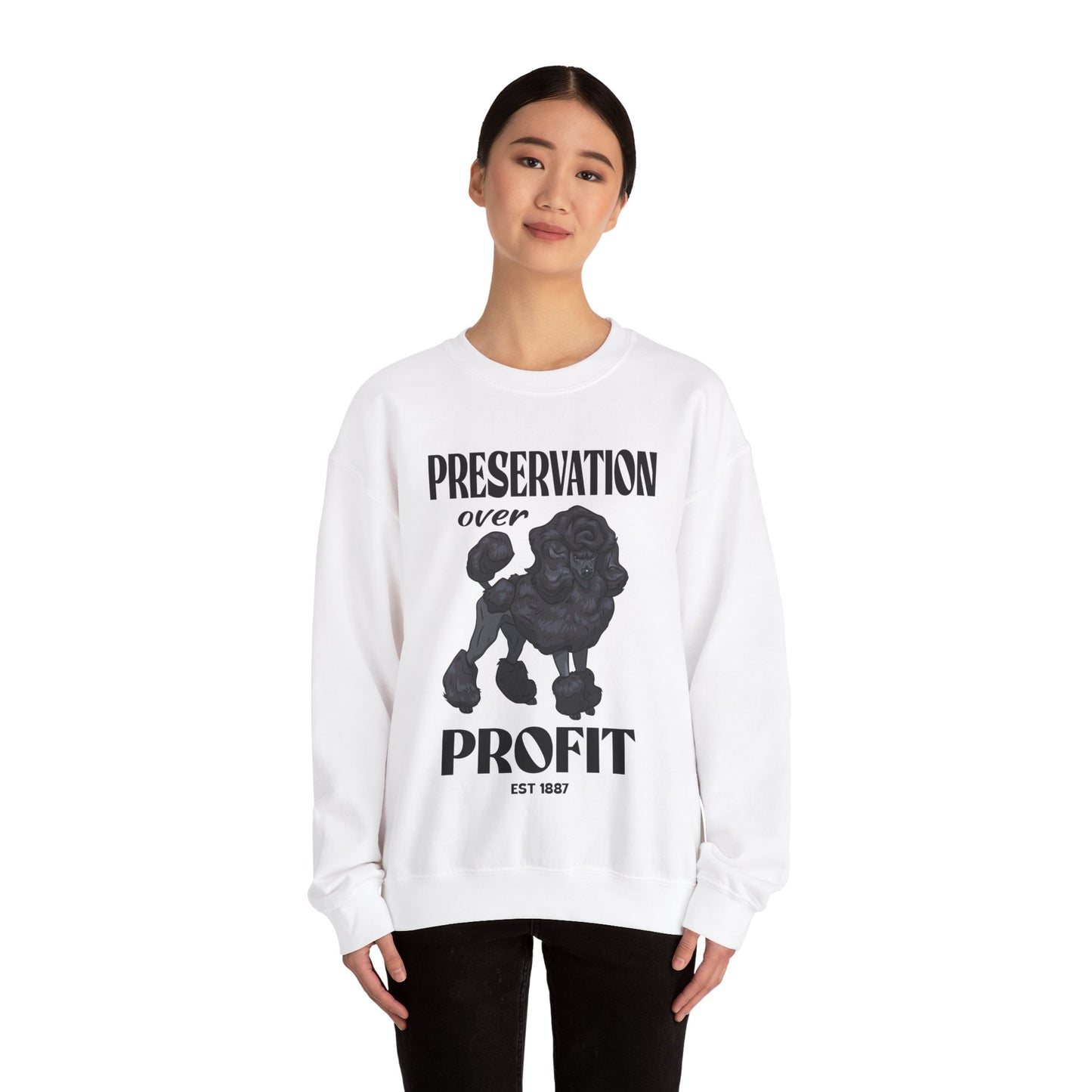 Standard Poodle
