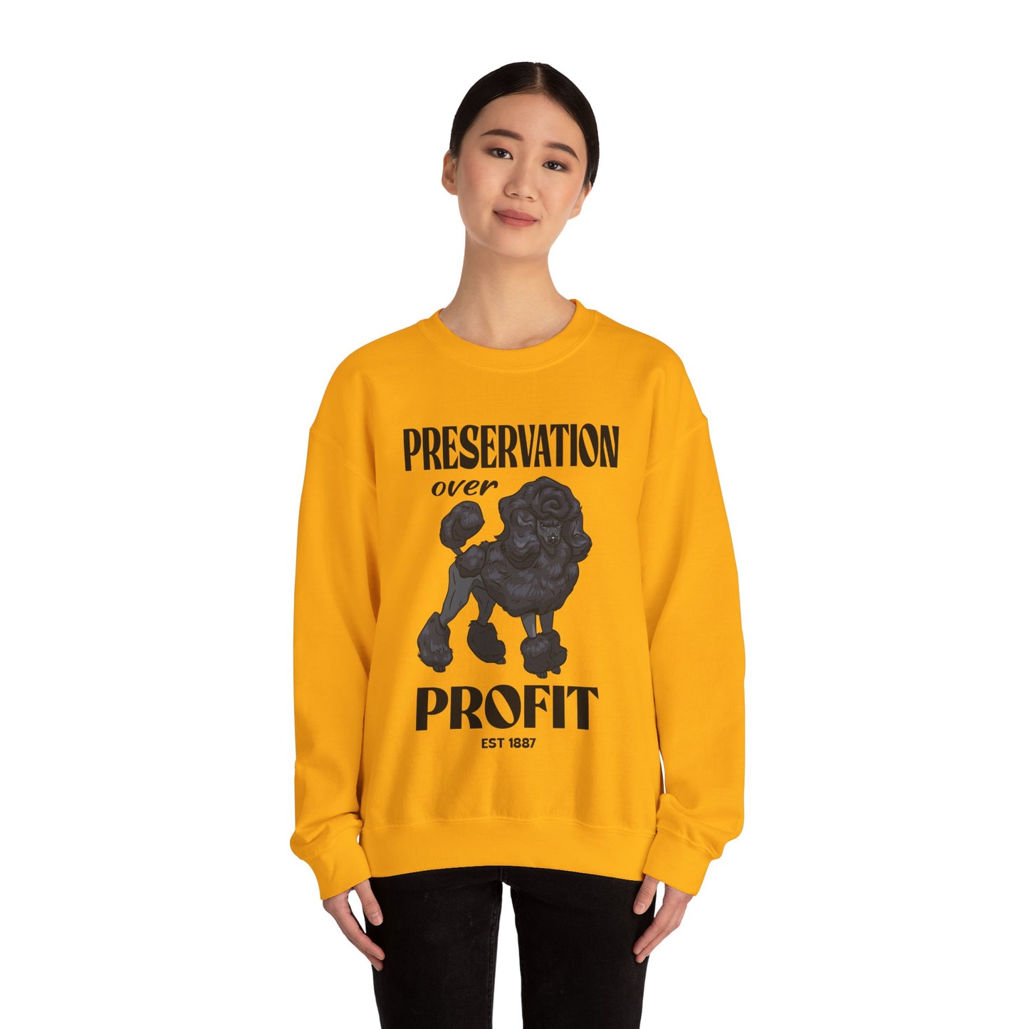 Standard Poodle