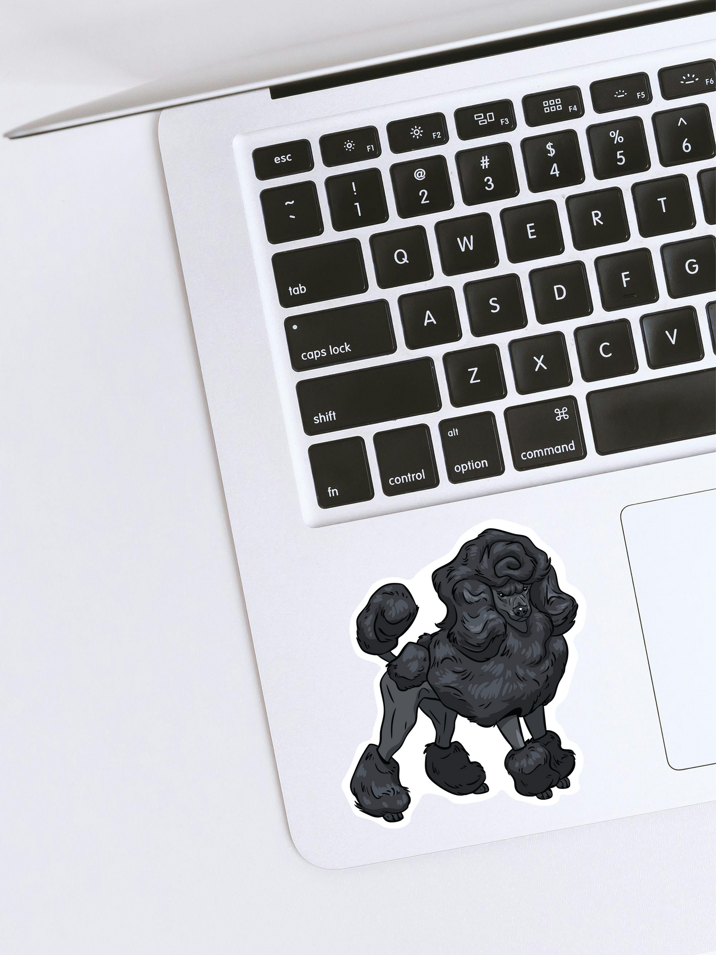 Poodle sticker