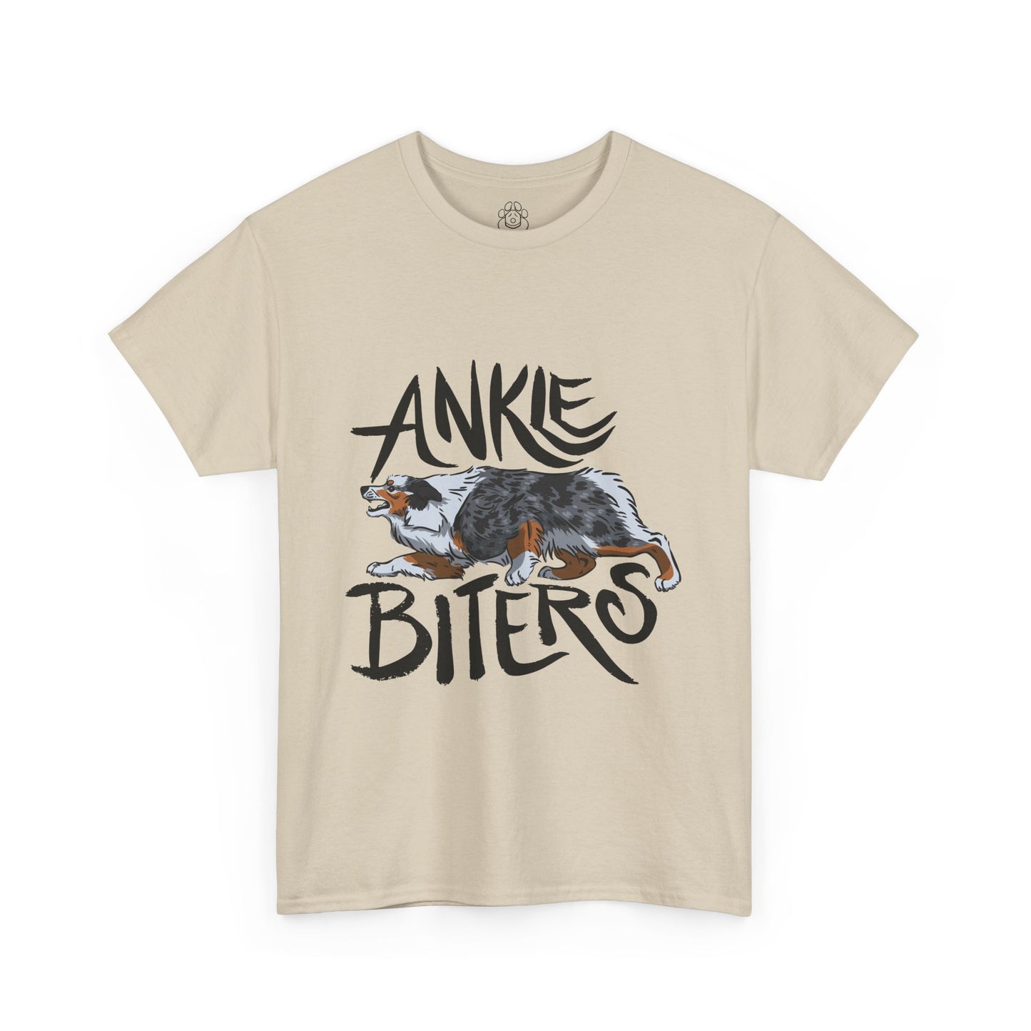 Australian Shepherd Ankle Biter