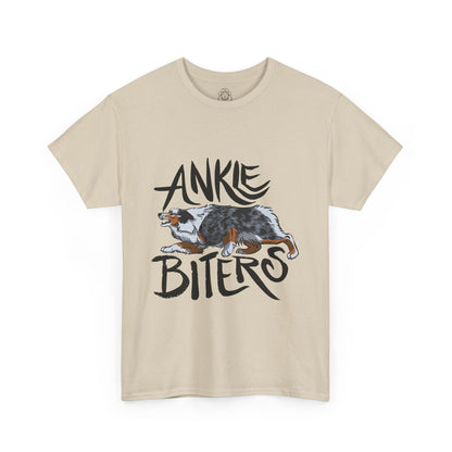 Australian Shepherd Ankle Biter