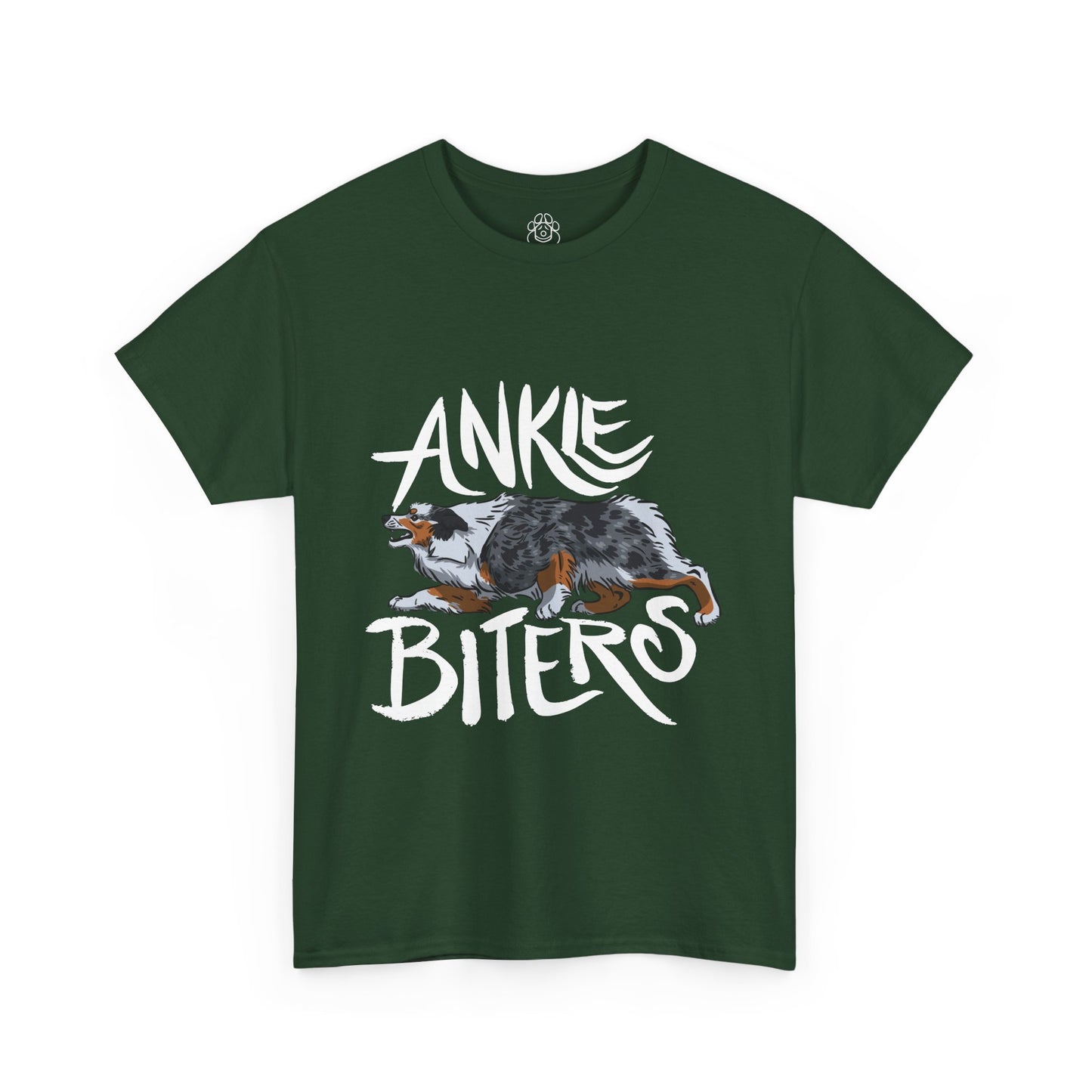 Australian Shepherd Ankle Biter
