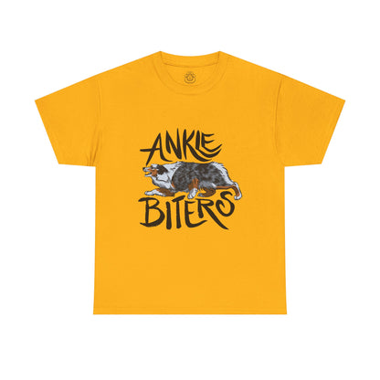 Australian Shepherd Ankle Biter