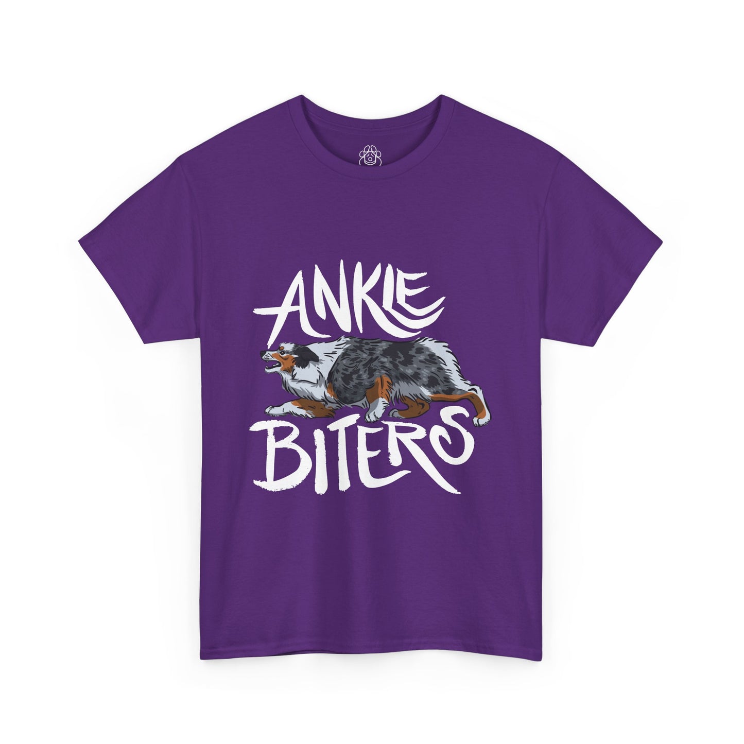 Australian Shepherd Ankle Biter