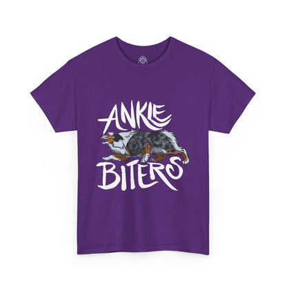 Australian Shepherd Ankle Biter