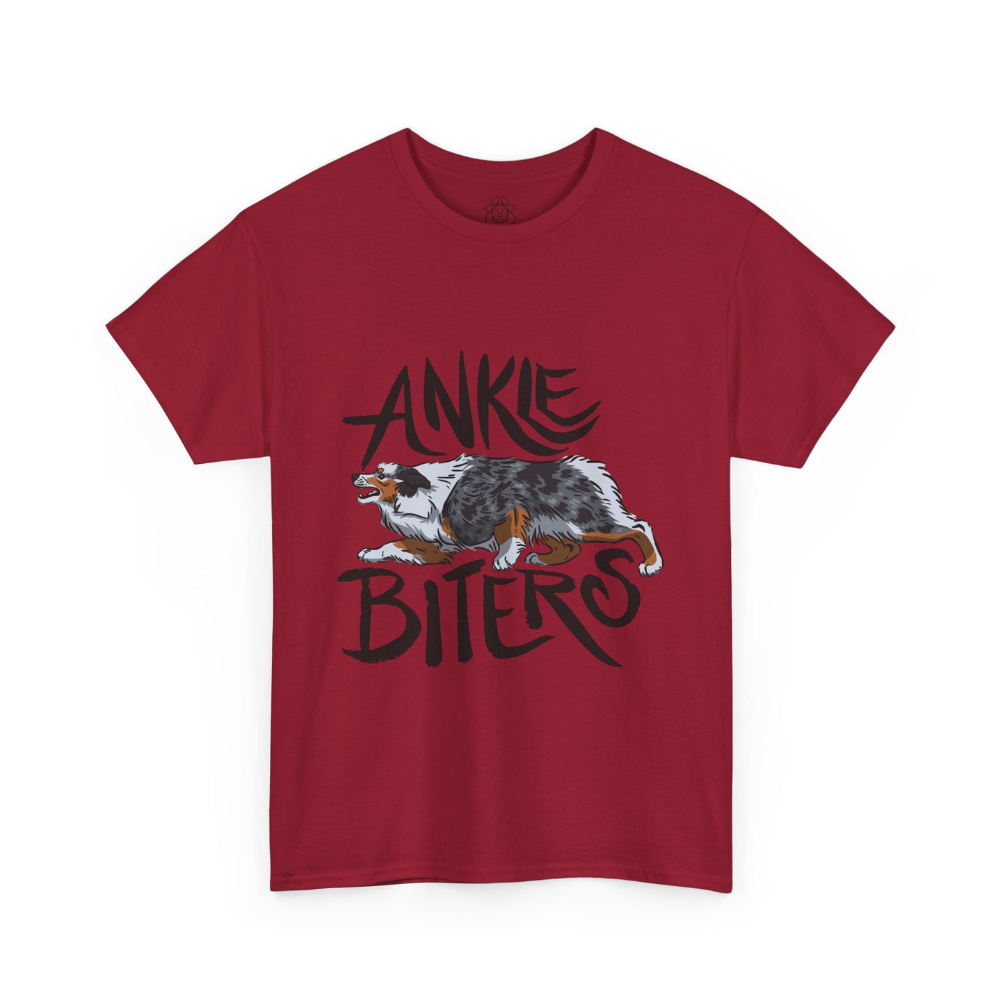 Australian Shepherd Ankle Biter