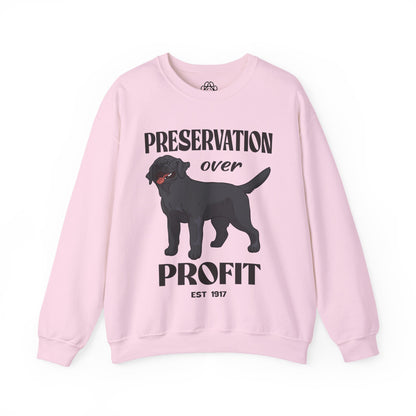 Labrador Sweatshirt