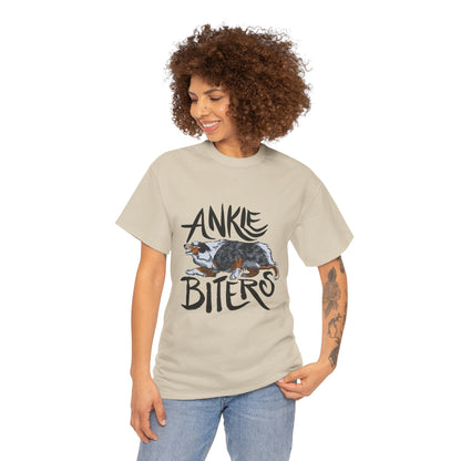 Australian Shepherd Ankle Biter