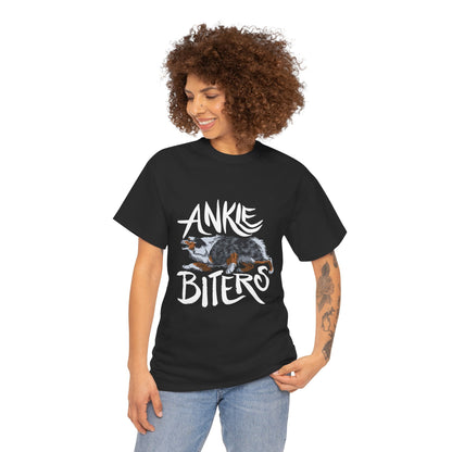 Australian Shepherd Ankle Biter