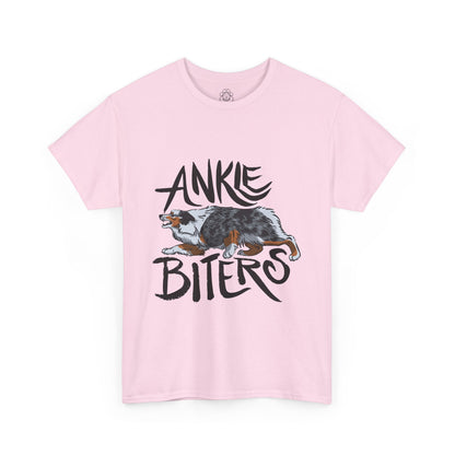 Australian Shepherd Ankle Biter