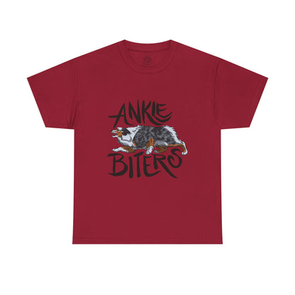 Australian Shepherd Ankle Biter