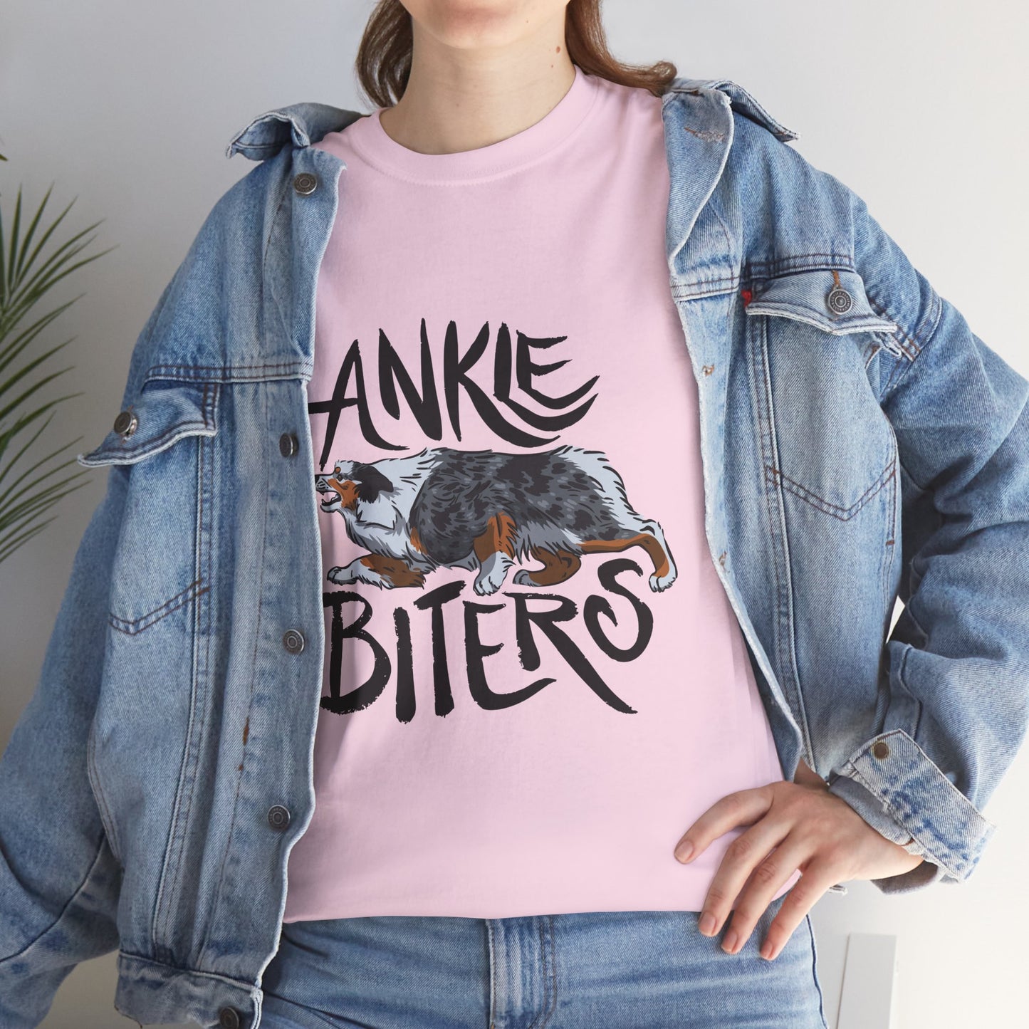 Australian Shepherd Ankle Biter