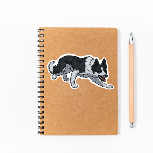Border Collie Sticker